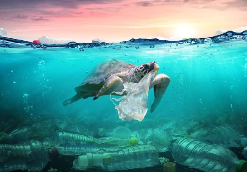 pollution