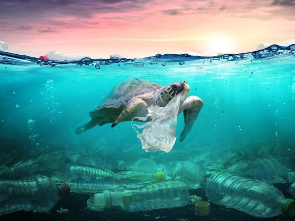 pollution