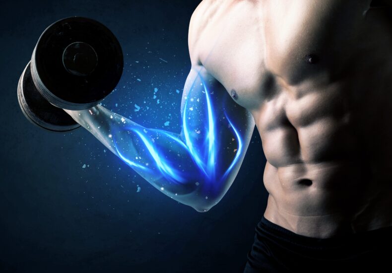 Muscles